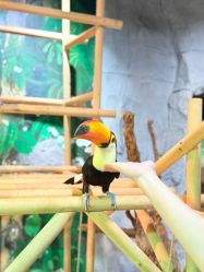 -Zoolung Zoolung动物主题公园(海信广场店)