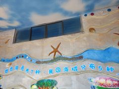 -广东惠东海龟国家级自然保护区