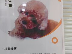 -全心全意连锁动物医院·微创中心·内科急重症·心脏专科(丰管路店)