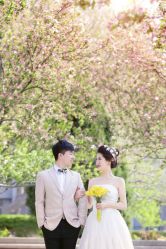 点击看大图 -戛纳印象摄影(潮拍定制馆)