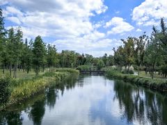 -溱湖国家湿地公园