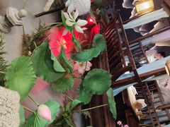 -韵秋荷(宝山龙湖天街店)