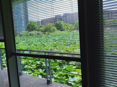 -3W咖啡(国家软件园店)