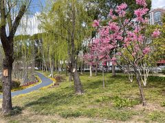 -新江湾城公园