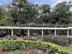 -人民公园(罗湖区)