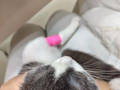 -御宝贝24h宠物医院·转诊中心·CT核磁血透中心(厦门总院)