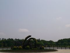 -上海鲜花港