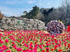 -老山国家森林公园