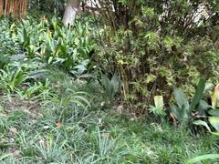 -成都市活水公园