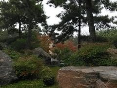 android_upload_pic-中国唐苑