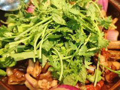 -凤兴鸡煲(宝安海雅店)