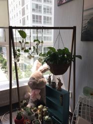 -Hi Skin皮肤管理中心