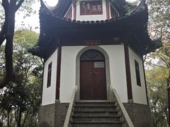 -上海佘山国家森林公园天马山园