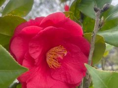 -福州大学(旗山校区)