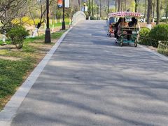 -狼山风景名胜区