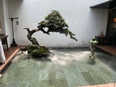 -觀芷隐轩