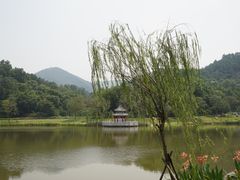 -国恩寺