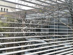 -浙江大学(玉泉校区)