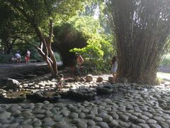 -成都市活水公园