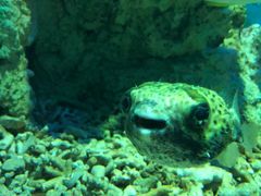 -福州罗源湾海洋世界旅游区