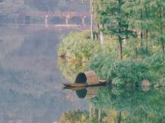 -重庆彩云湖湿地公园