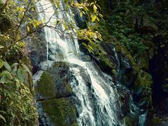 -藏龙百瀑风景区