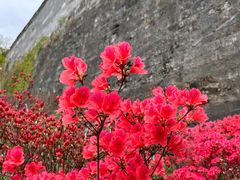 -老门东历史文化街区