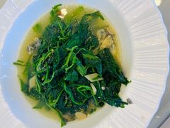 上汤辣椒叶-鹿鸣酒家(越秀店)