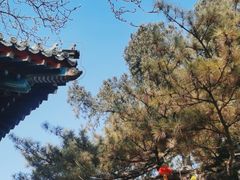 -红螺寺