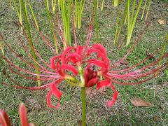 -白塘生态植物园