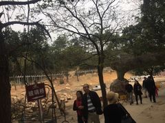 -牛鱼嘴原始生态风景区