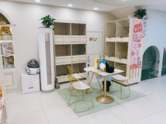 -当汪遇见喵宠物店