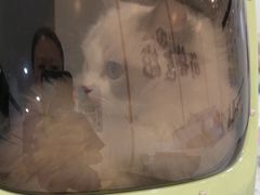 -萌兽医馆·绝育·24小时内科·宠物医院(德胜店)