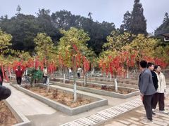 -莆田南少林寺