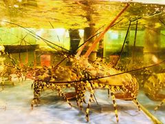 -海天一色海景自助餐厅(西港花园店)