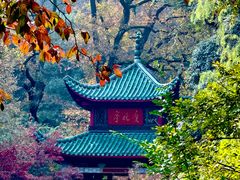 -岳麓山风景名胜区