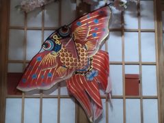 -河风の幸会精致料理