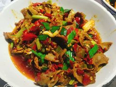 -壹盏灯(惠农店)