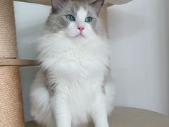 -酷宠动物医院(天通西苑店)