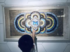 -上海昆虫博物馆