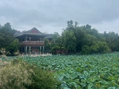 -莲池书院博物馆