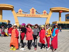 -金塔沙漠胡杨林景区