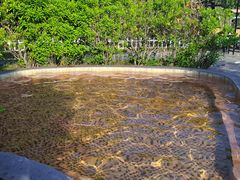 -汕头莲花山度假村温泉