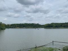 -昆山城市生态森林公园