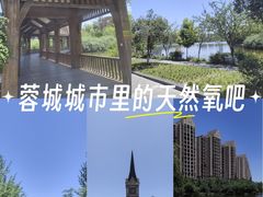 -成都南湖公园