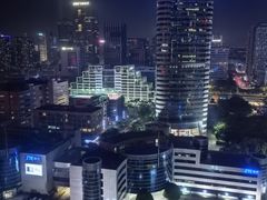 -深圳湾科技园丽雅查尔顿酒店