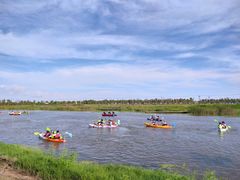 -春花秋色城市公园
