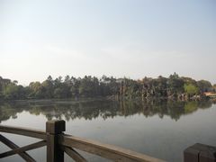 -上海鲜花港