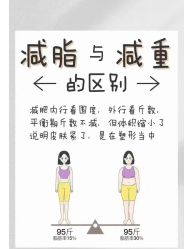 -Fundi张玉珊修身堂·indiba·BTL科技瘦身