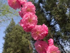 -颐和园